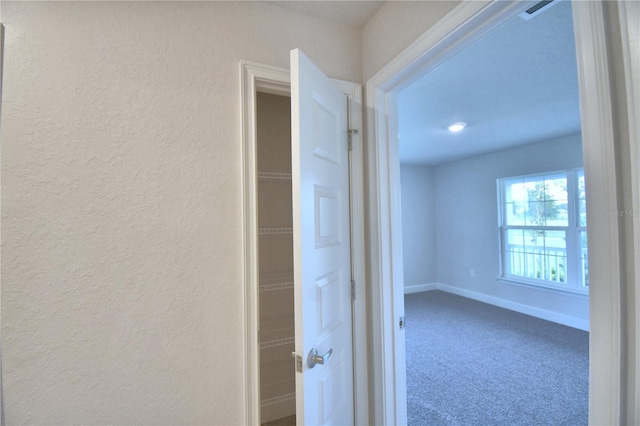 hallway featuring carpet floors