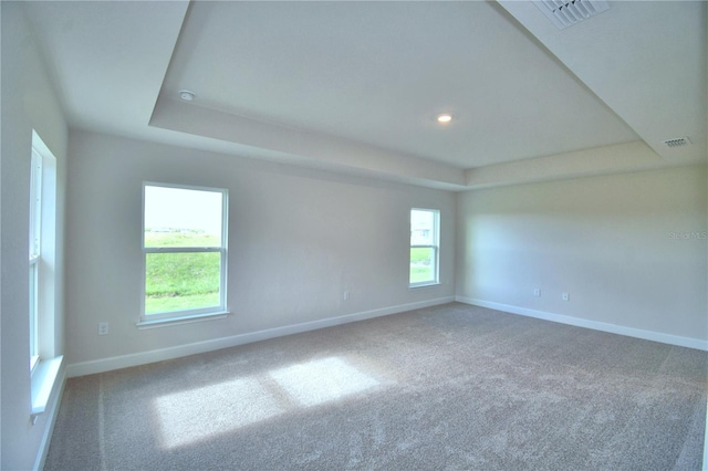 spare room featuring carpet and a raised ceiling