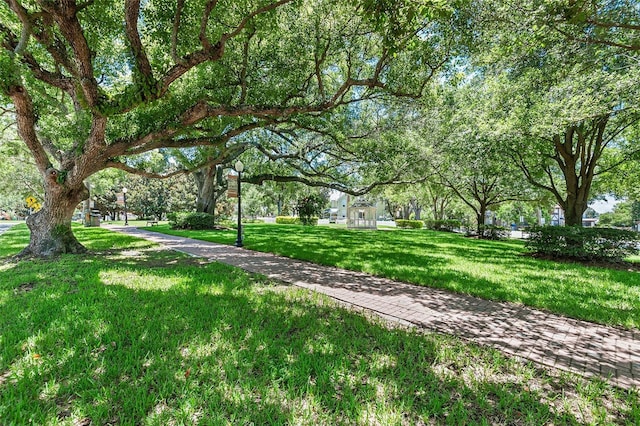 surrounding community featuring a lawn