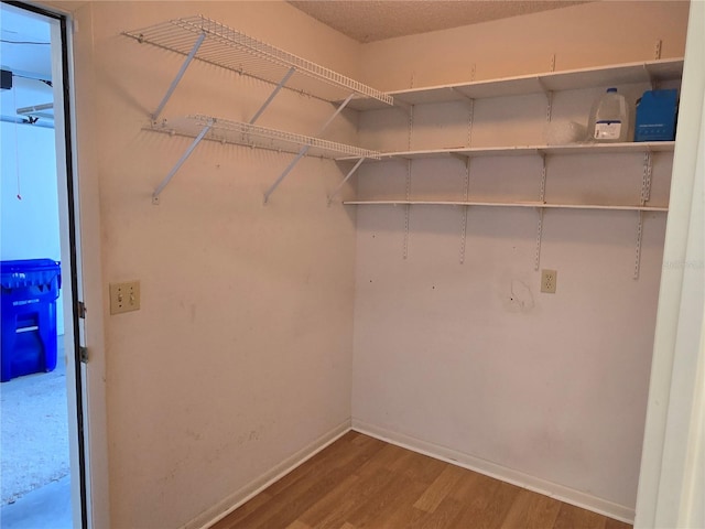 spacious closet with hardwood / wood-style floors