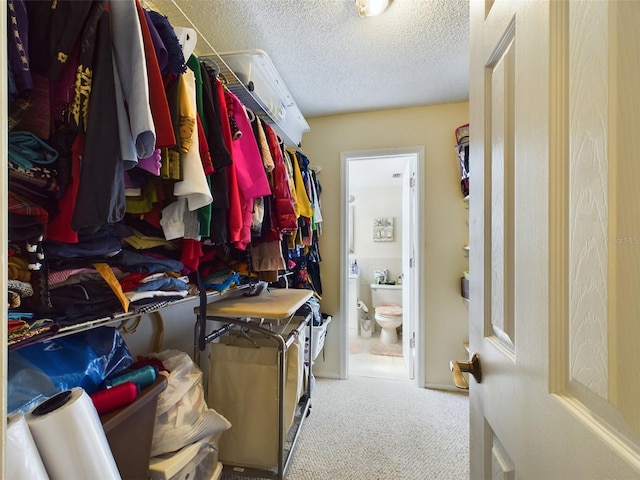 walk in closet with carpet flooring