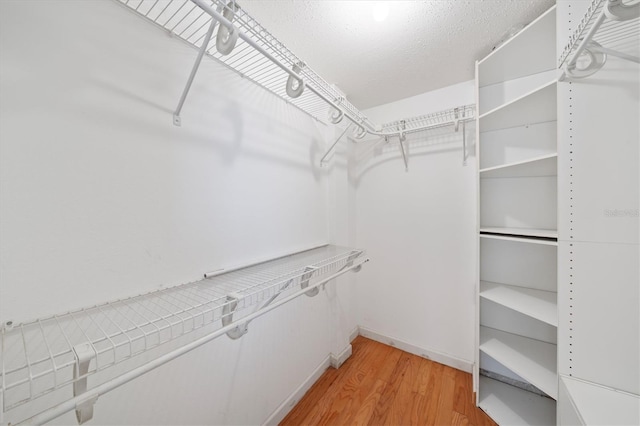 walk in closet featuring wood-type flooring