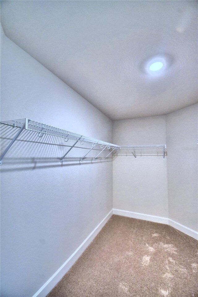 spacious closet with carpet