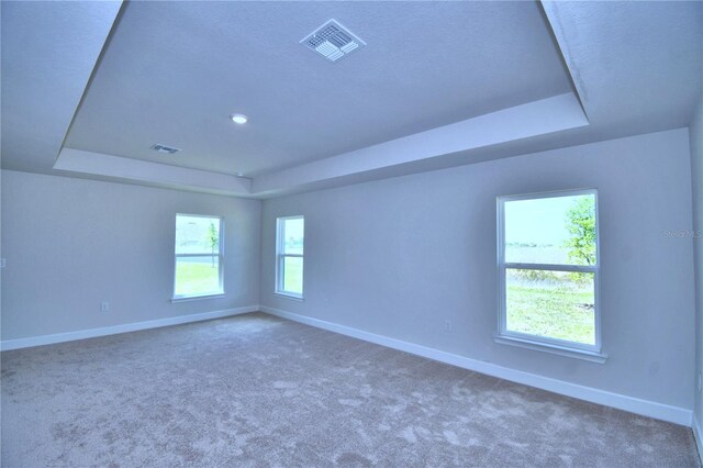 carpeted empty room featuring a raised ceiling