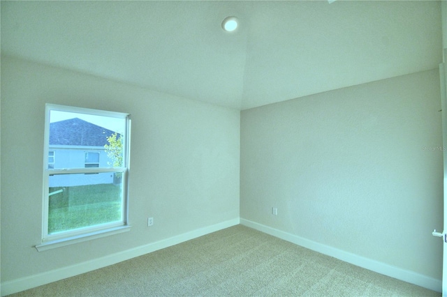 spare room featuring plenty of natural light and carpet floors