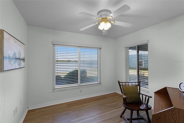 office area featuring wood-type flooring and ceiling fan