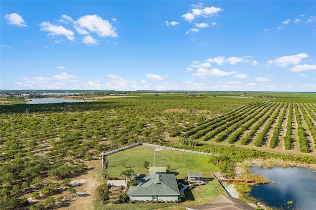 drone / aerial view with a water view and a rural view