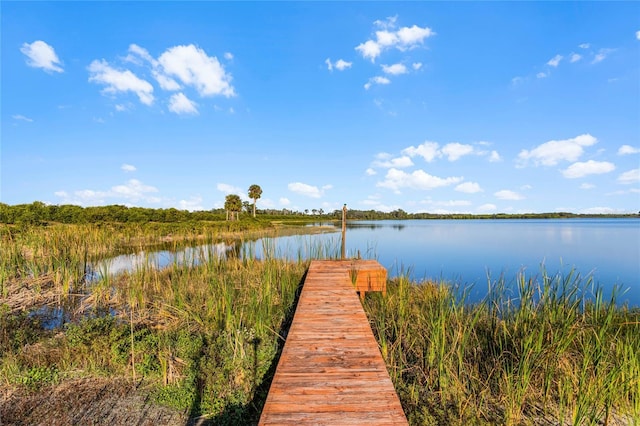 dock area with a water view