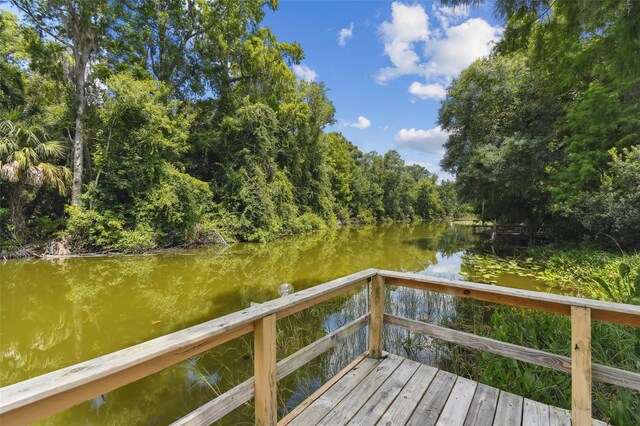 dock area with a water view