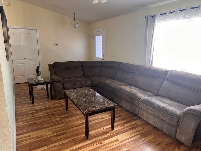 living room with hardwood / wood-style flooring