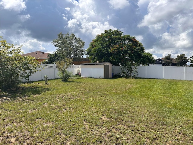 view of yard featuring a shed