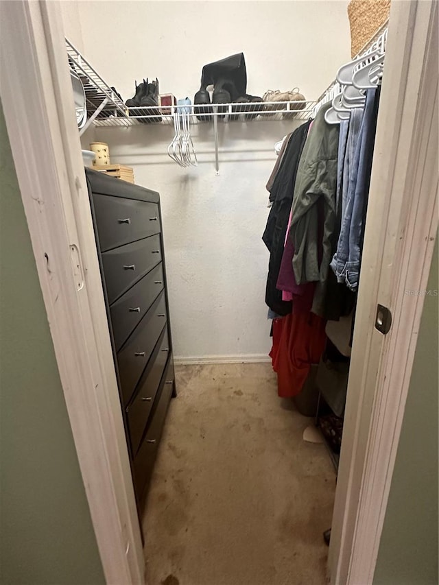 view of spacious closet