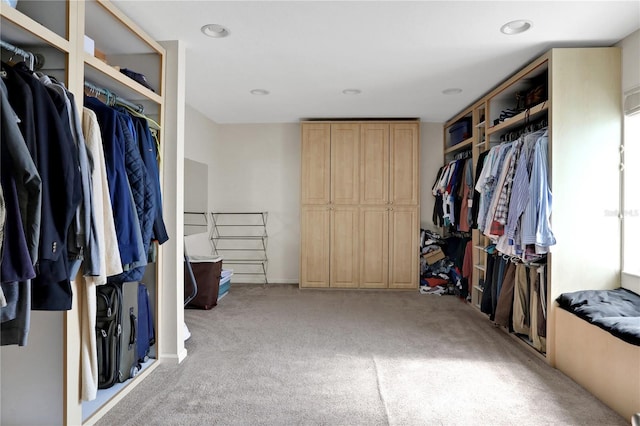 spacious closet with light carpet