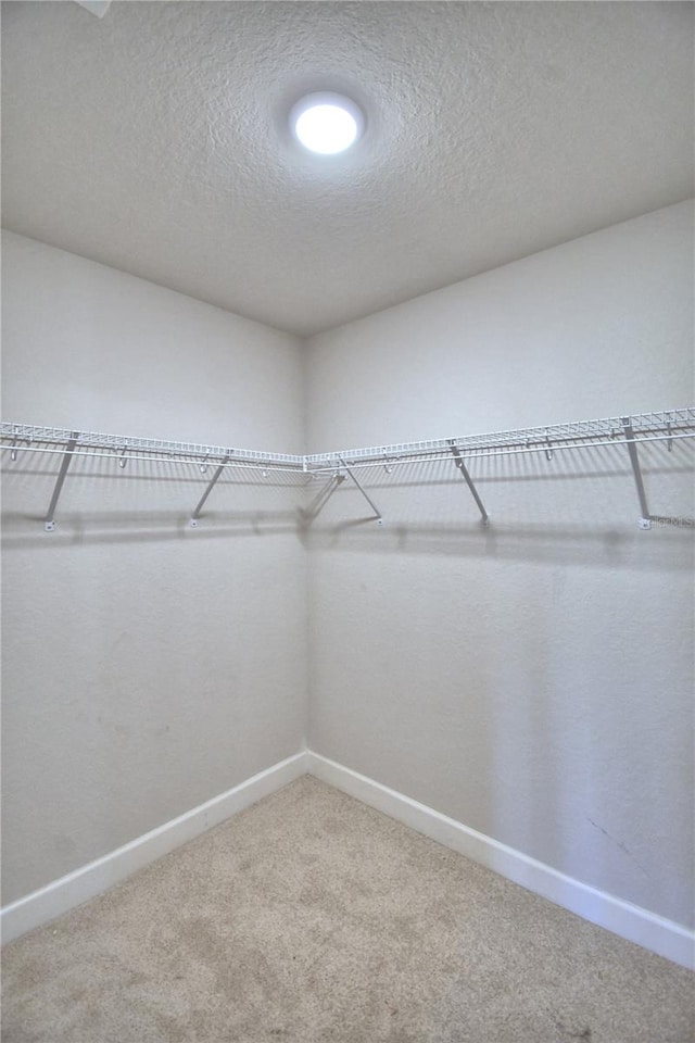 walk in closet with carpet flooring