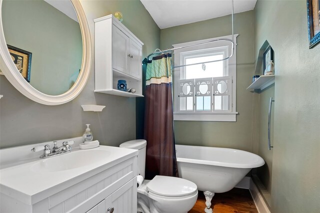 bathroom with vanity, toilet, and hardwood / wood-style floors