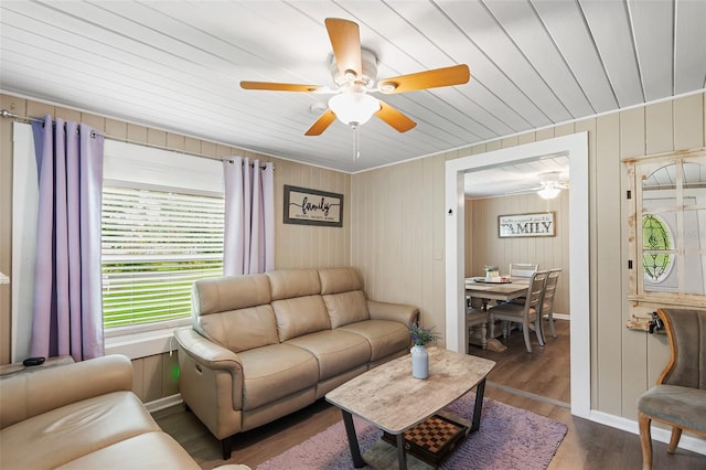 living room with wood ceiling, a wealth of natural light, ceiling fan, and dark wood-type flooring