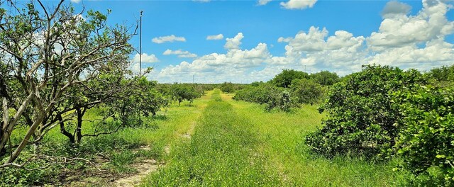 Listing photo 2 for S Lake Reedy Blvd, Frostproof FL 33843