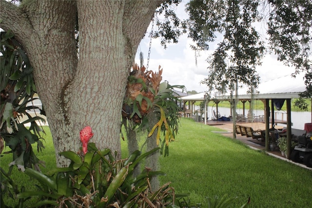 view of yard with a water view and a gazebo