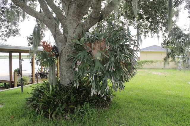 view of yard with a water view