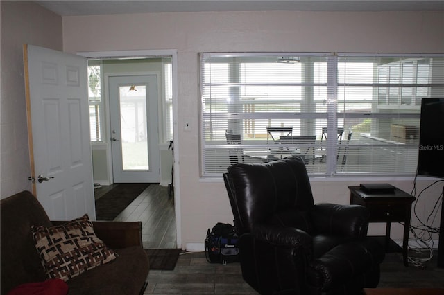 foyer entrance with dark hardwood / wood-style flooring