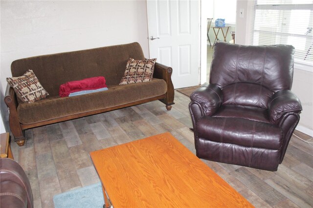 living room with wood-type flooring