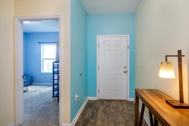 entrance foyer featuring dark hardwood / wood-style flooring