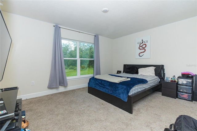 bedroom featuring carpet