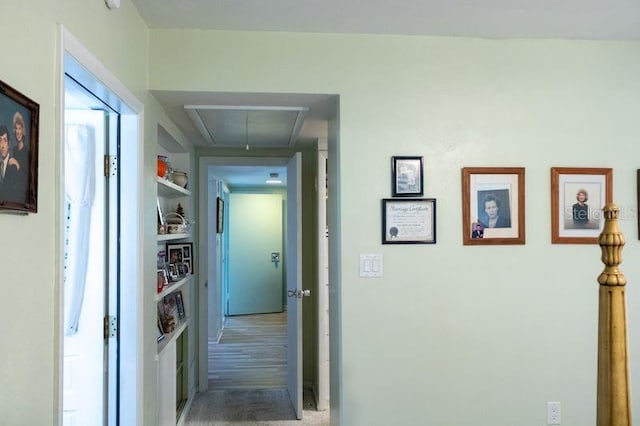 hallway featuring carpet floors