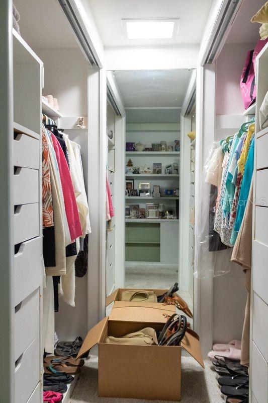 walk in closet with carpet floors