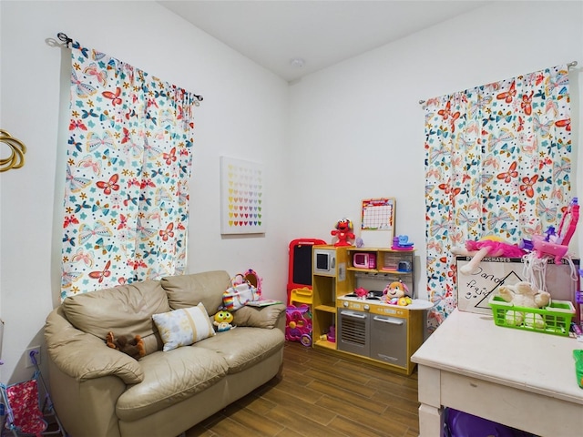 playroom featuring dark hardwood / wood-style floors