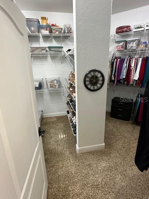 spacious closet featuring carpet flooring