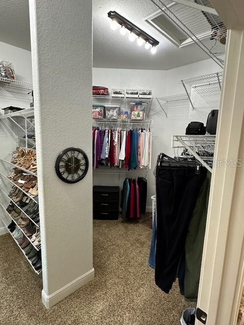 spacious closet featuring carpet flooring