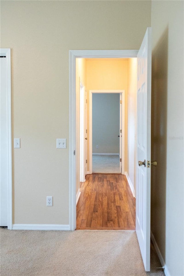 hall featuring carpet