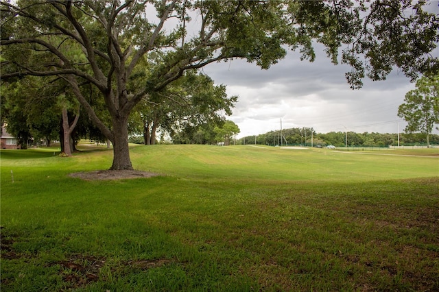 view of home's community featuring a yard