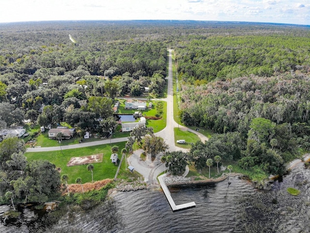 bird's eye view with a wooded view