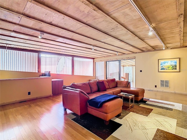 living room featuring a wealth of natural light, track lighting, and wood-type flooring