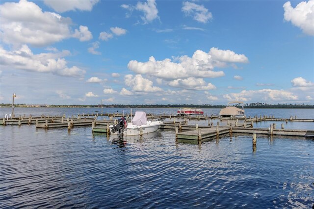 dock area with a water view