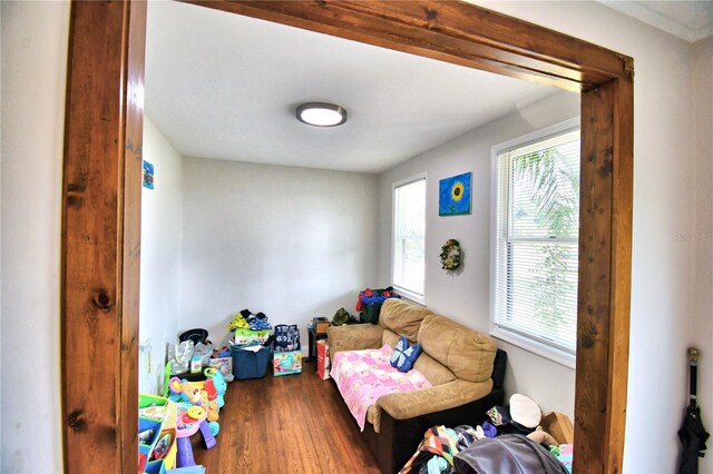 rec room featuring hardwood / wood-style floors