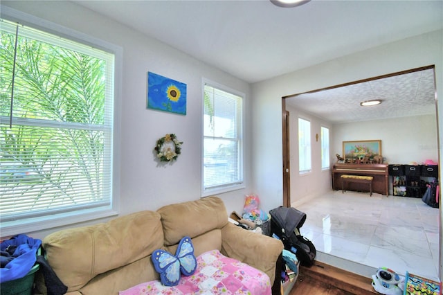 living room featuring a wealth of natural light