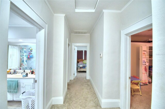 hall featuring light colored carpet and ornamental molding