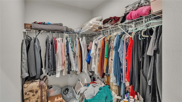 view of spacious closet