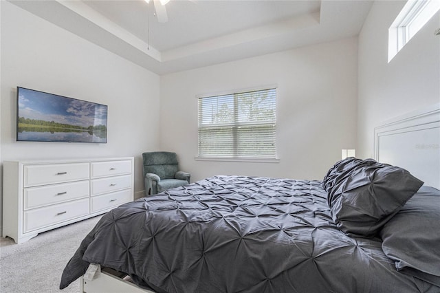 carpeted bedroom with a raised ceiling, ceiling fan, and multiple windows