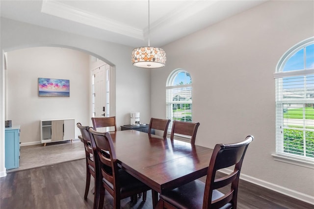 dining room with plenty of natural light and dark hardwood / wood-style floors