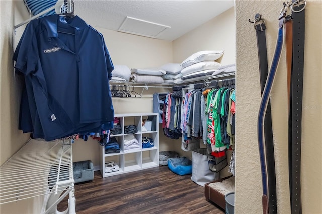 walk in closet featuring hardwood / wood-style floors