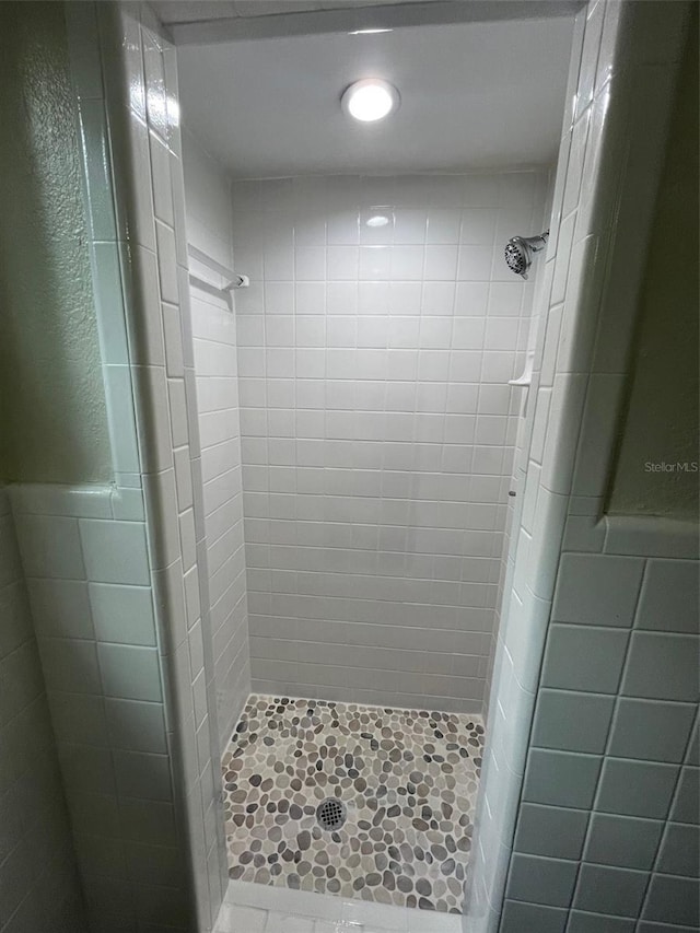 bathroom featuring a shower stall