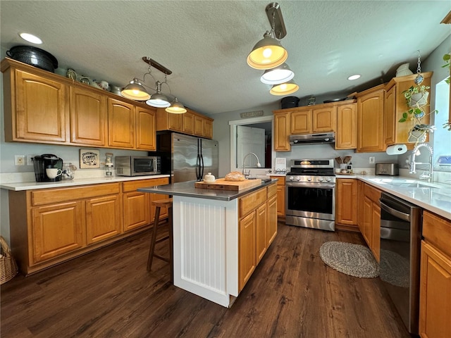 kitchen with sink, a center island, ventilation hood, pendant lighting, and appliances with stainless steel finishes