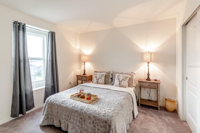 carpeted bedroom featuring a closet