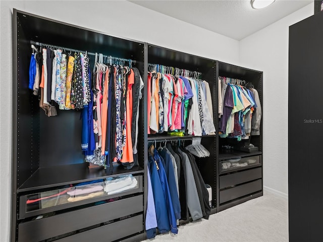 spacious closet with carpet floors