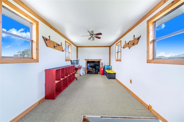 interior space featuring baseboards, a ceiling fan, ornamental molding, carpet flooring, and a fireplace