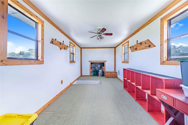 interior space featuring plenty of natural light, crown molding, and carpet floors